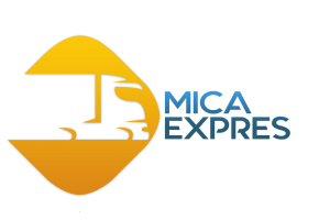 Micaexpres logo